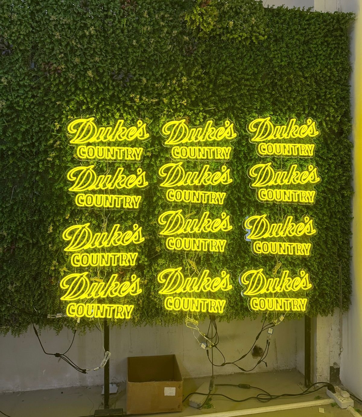 WhatsApp Image 2026-01-11 at 19.50.58 (1)